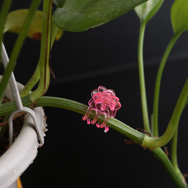 60 Stks/zak Plastic Plant Fix Clips Orchidee Clips Tuin Ondersteuning Clips Orchidee Grower Bloemen Fruit Wijnstok Ondersteuning