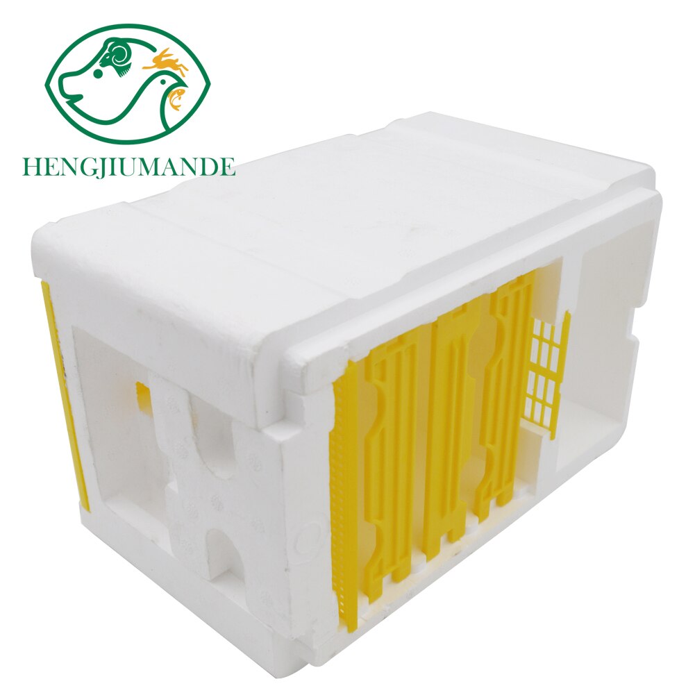 Bee Hive Beekeeping King Box Pollination Box Foam Frames Beekeeping Tool Kit