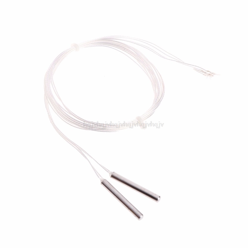 2 x PT 100 platino resistencia RTD Sensor sonda de temperatura con 5m cable N22 19