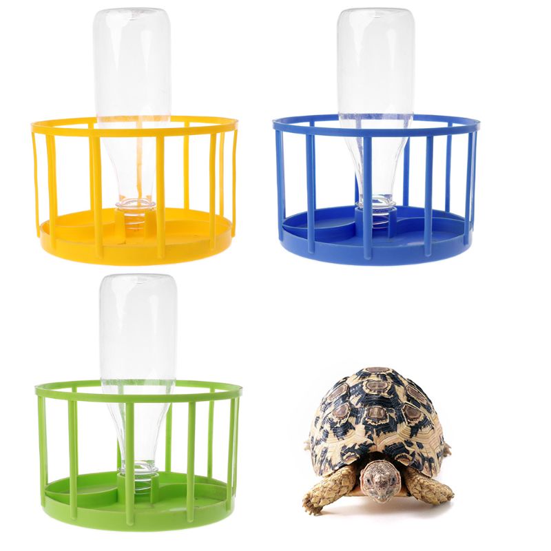 Små husdjur matskål reptil matare mat vatten skål akvarium prydnad terrarium skål för sköldpadda sköldpadda ödla