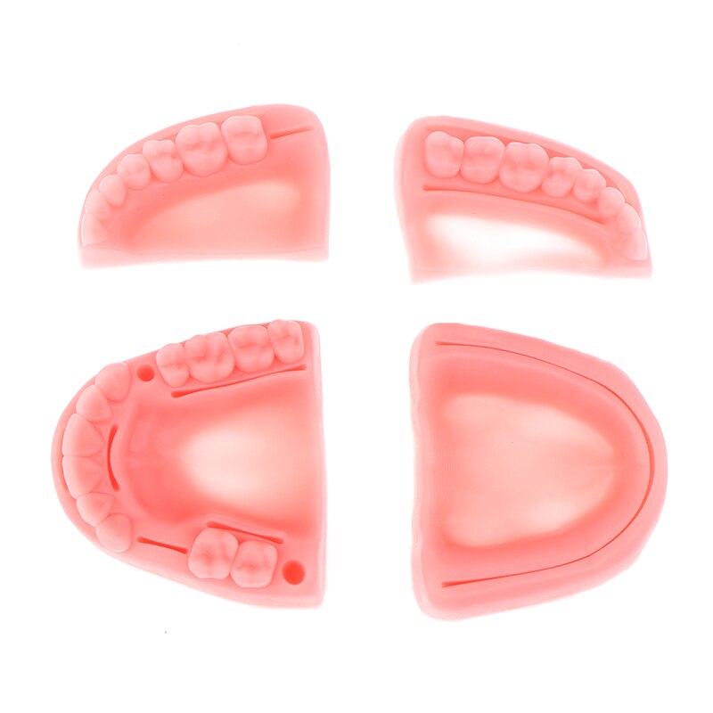 Simulación Dental, modelo de sutura oral, sutura de goma, equipo de entrenamiento para enseñanza, práctica de habilidades, 4 unids/set por Set