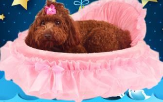 Panier princesse en dentelle pour chien et chiot, lit de luxe, nid de rêve pour animal de compagnie, niche pour chat et chiot: 1 / 46x43cm