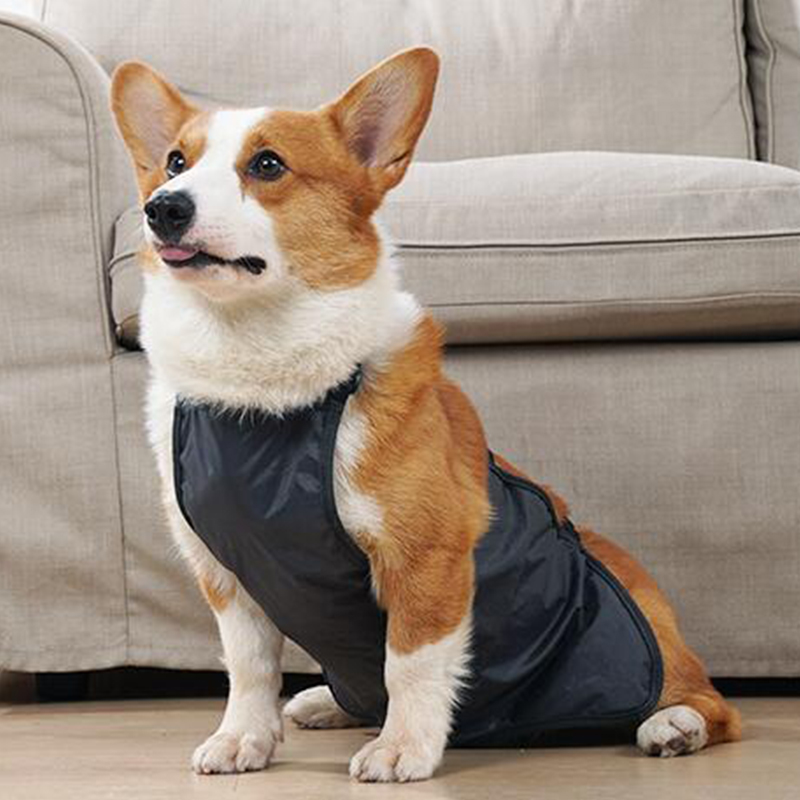 Carlin Corgi animal de compagnie chien Bellyband vêtements imperméable respirant Anti ventre couverture bavoir poche chien Costume Corgi Bellyband gilet