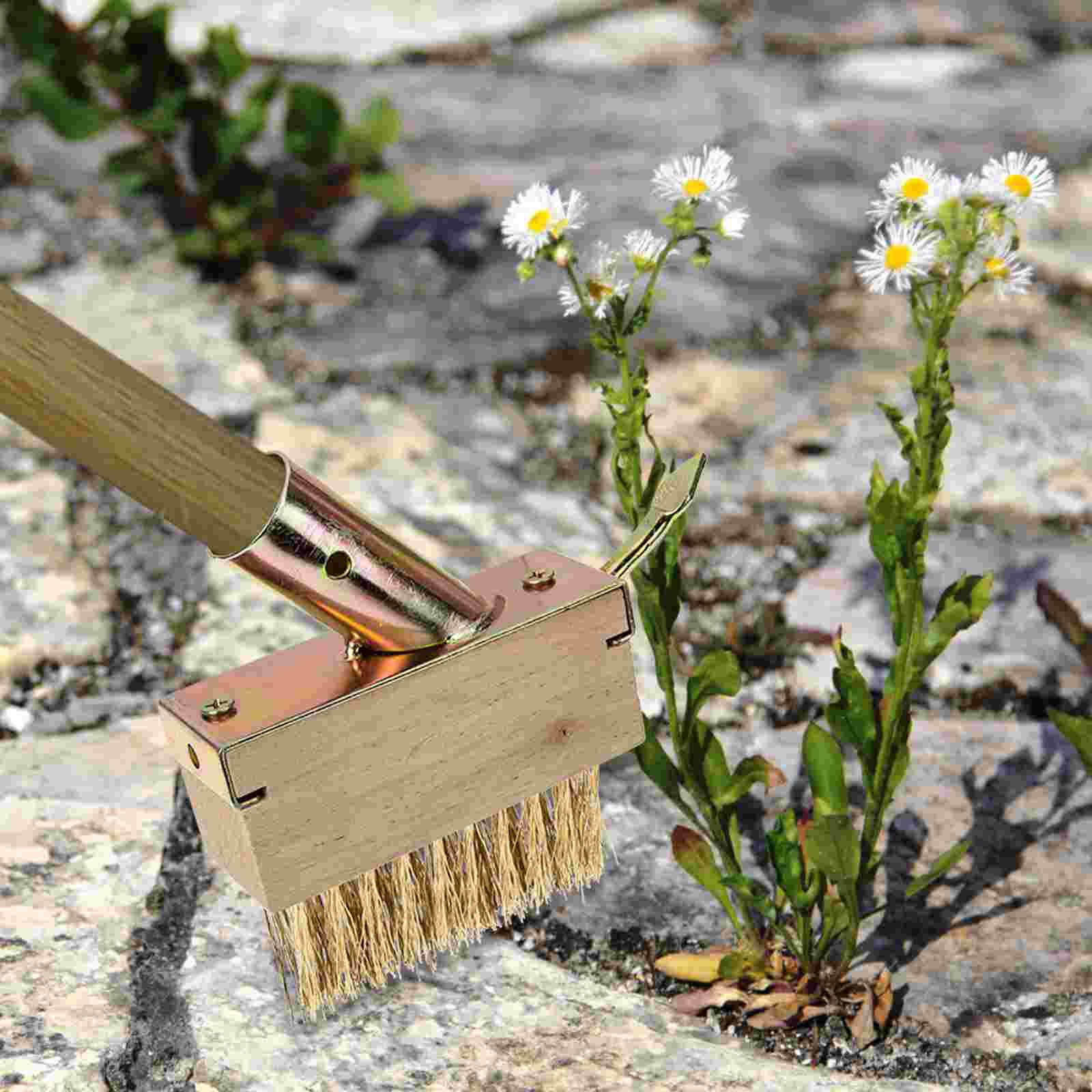 Steel Wire Weeding Brush with Scraper Moss Removal Deck Crevice Cleaning Tool