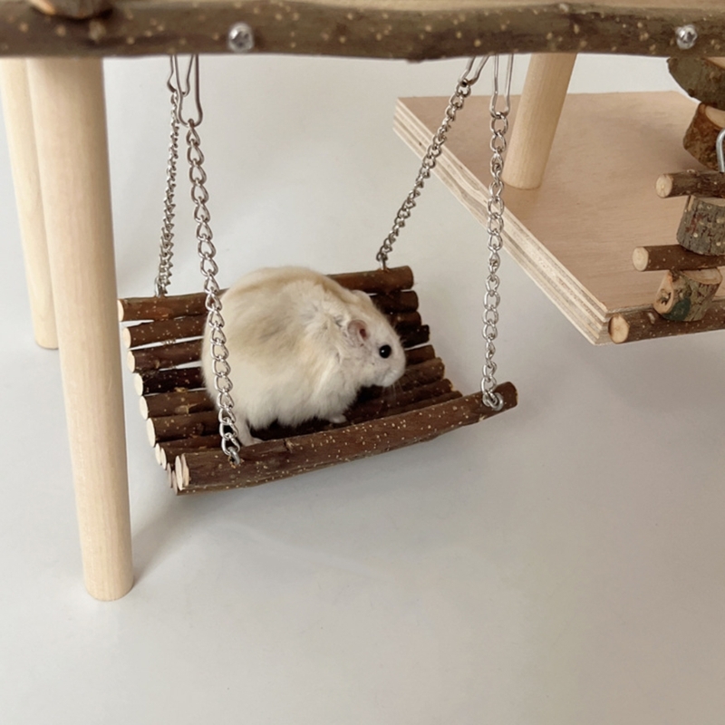 Thumbnail for Providing Hamster Solo Space