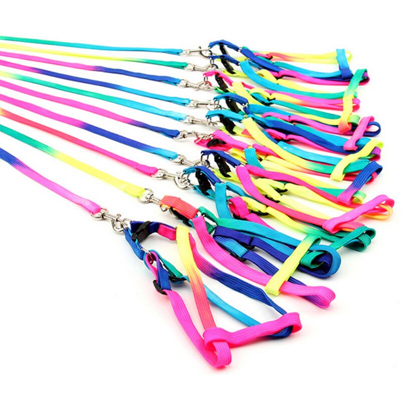 Breakaway rainbow nylon kat kæledyr halsbånd sele snor sæt til katte hund små kæledyr justerbar kanin hunde snor katten halsband