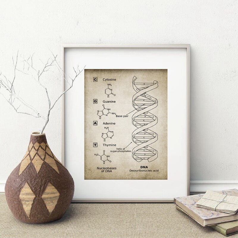 Dna En Rna Genetische Code Muur Art Prints Genetica Biochemie Student Vintage Wetenschap Retro Poster Kraftpapier
