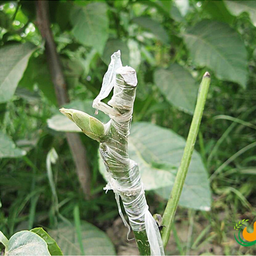 1 Roll Of Environmental Protection Garden Grafting Bandage Fruit Tree Seedling Bandage Pruning Shears Grafting Tape