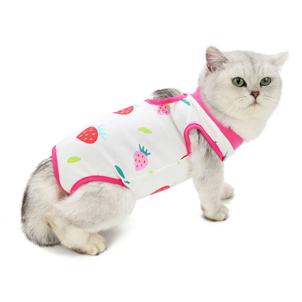 Kat Herstel Pak Ademend Kitten Skin Protect Anti Likken Wond E-Kraag Hond Herstel Kleding Voor Kleine En Middelgrote huisdieren: B / Xl