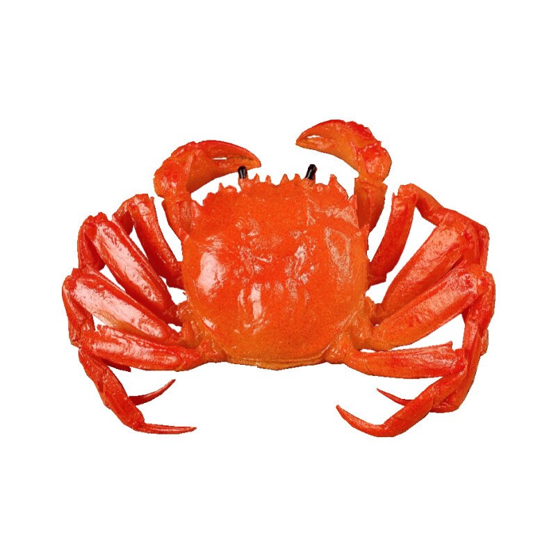 Simulation Hairy Crab Model Male Crab Female Crab Crab Model Hairy Crab Mold Props Simulation Food