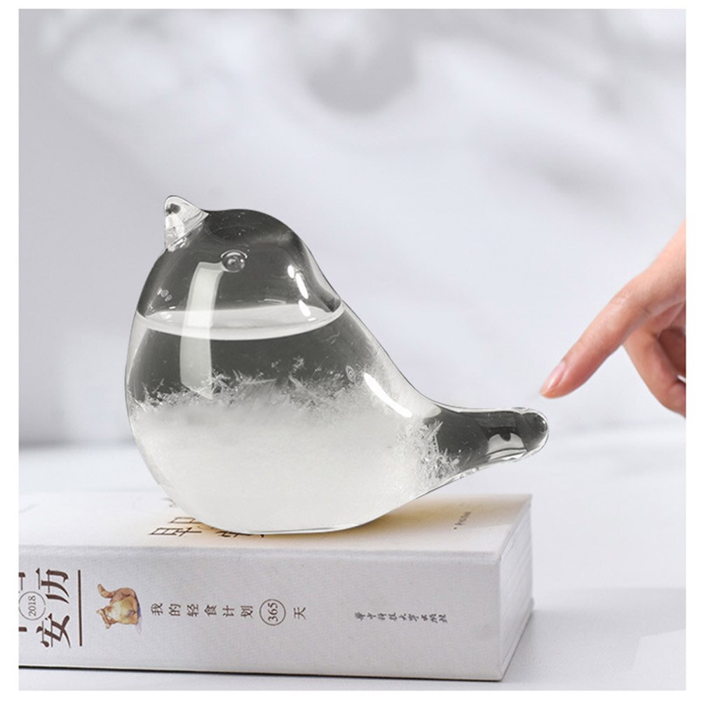 Storm Glass Weather Forecaster Weather Station Liquid Barometer Weather Predictor Office Desktop Decor Weather Glass