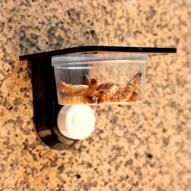 1* reptielentanks insecten spinnen voer water voerbak terrarium pot kweekbak
