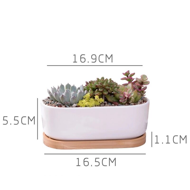 Hvid porcelæn sukkulenter potte grønne planter urtepotte med bambus bakke kontor bordplade planter kortfattet vase boligindretning: L