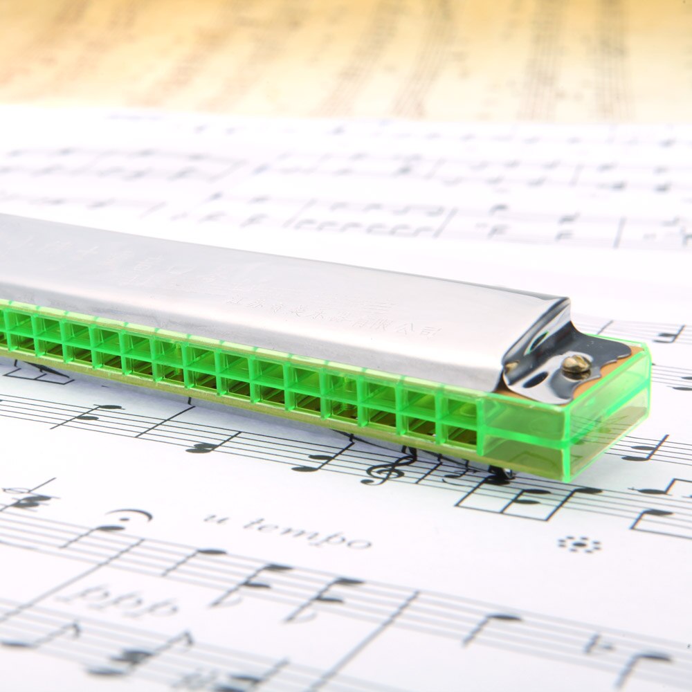 24 hulls munnspill oktav munnspill munnorgan fritt sivblåseinstrument med koffert