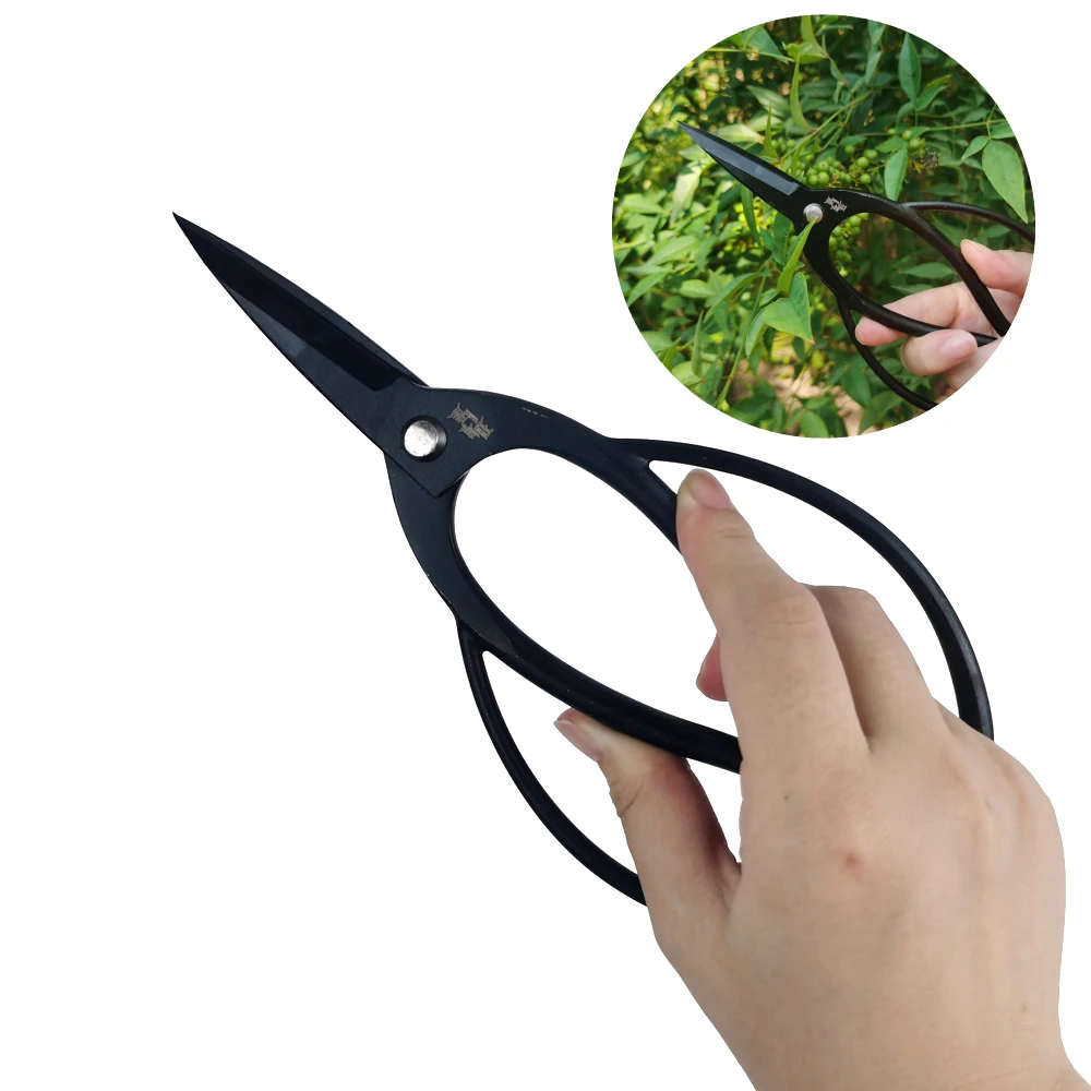 Strumento per potatura bonsai Cesoie per filo da giardino Frese estese Forbici in acciaio legato Strumenti per potatura da giardino domestico Combinati selezionati: marrone