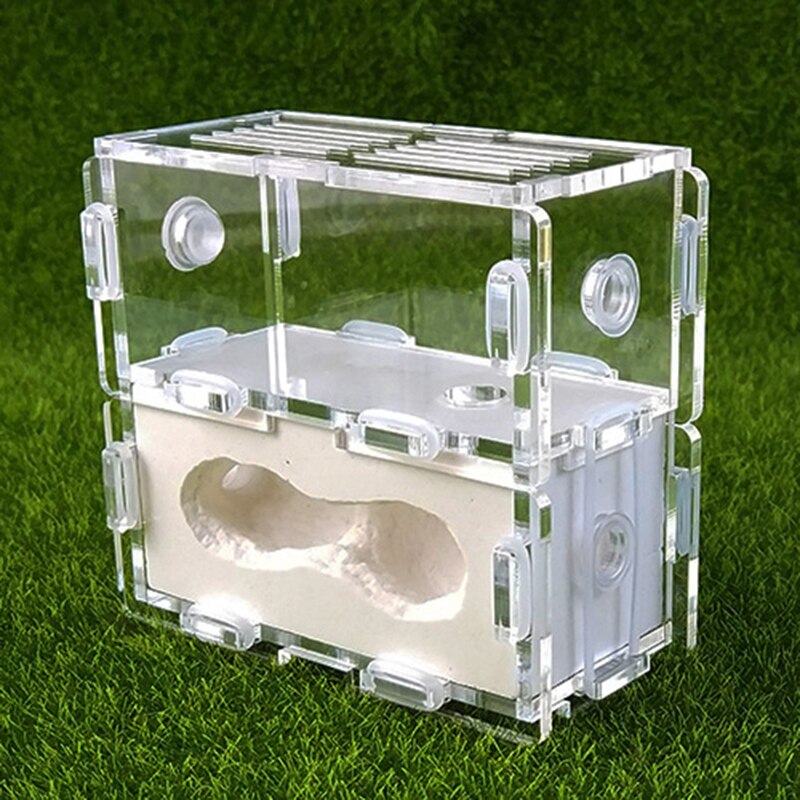Square Acrylic Ant Plaster Nest Transparent Ant Farm Villa Insect Ornament Box