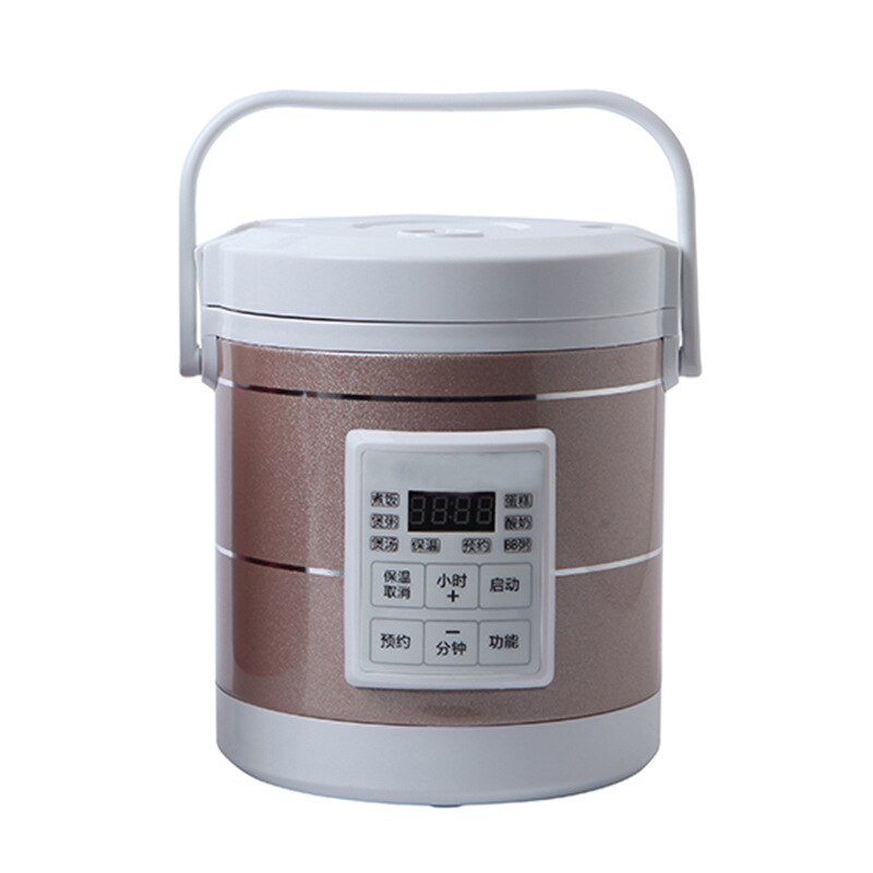Olla arrocera para coche, 12V24V, camión, cocina pequeña de arroz inteligente, mini arrocera para 1-2 personas: Home smart 220V