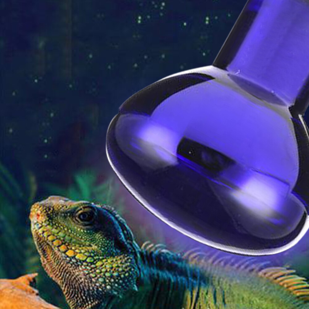 Spot lumineux chauffant Reptile, ampoule chaude E27, 25/50/75/100W