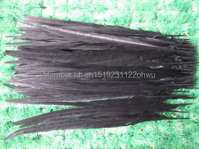 Belle plume de faisan noir, , 100 pièces, 14-16 pouces 35-40 cm,