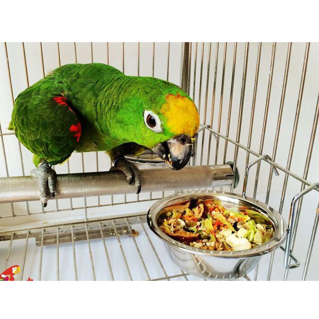 Stainless Steel Pet Bird Cage Food Water Bowl Parrot Coop er Cup,