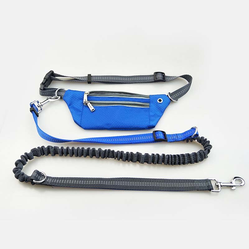 Pet Dog Elastic Belt Running Leash Set Hands Free Dog Leashes Collar Pets Accessories Puppy Dog Harness Leash For Sports Pet: Blue Set