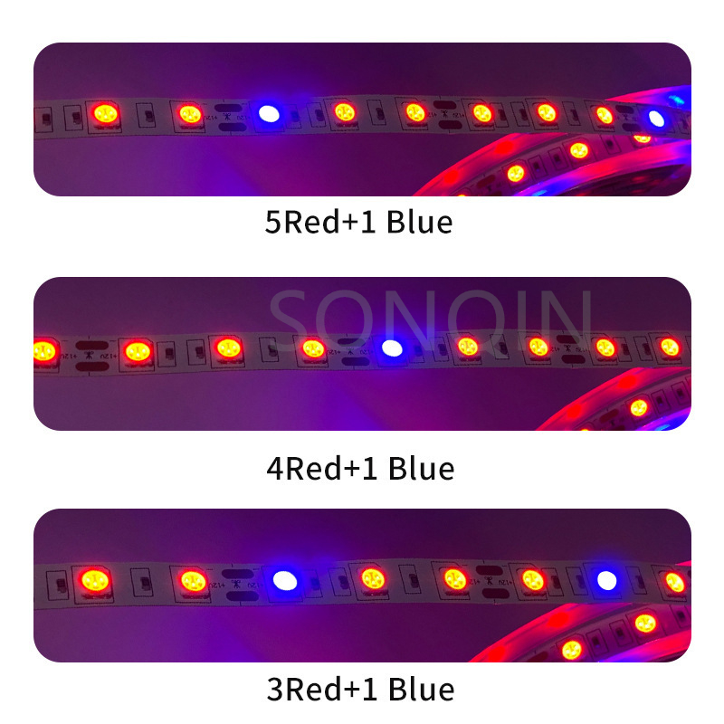Tira de luces LED de espectro completo, lámpara de crecimiento Phyto para invernadero hidropónico, 3M-15M