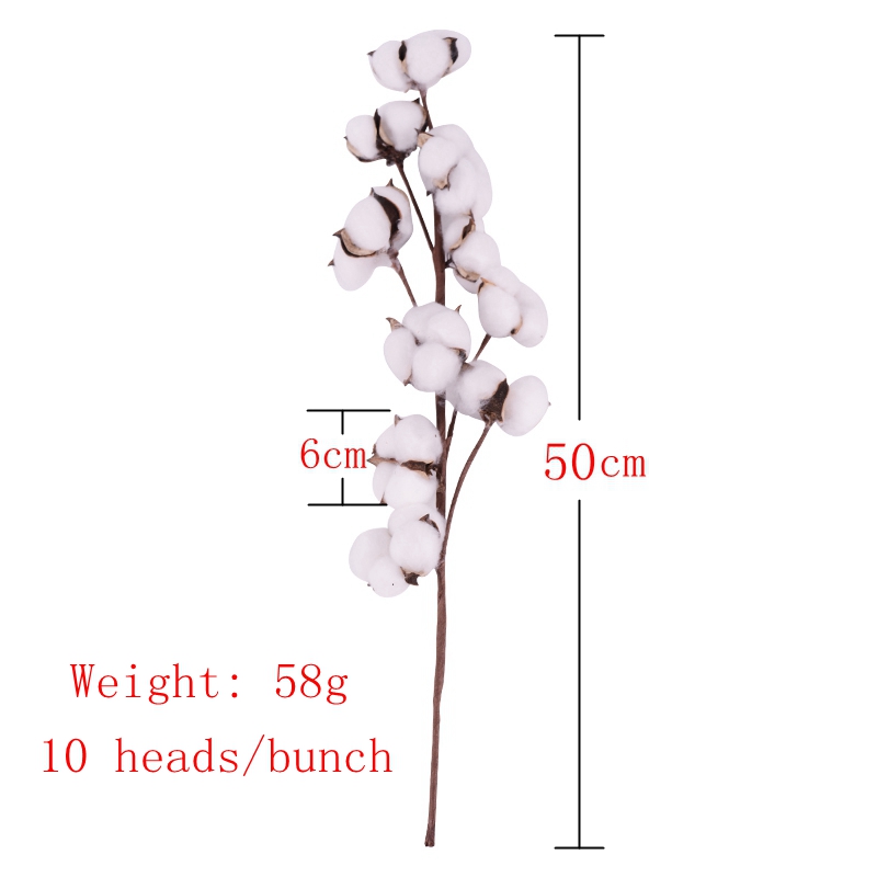 Branche de fleur artificielle en coton naturel, 1 pièce, pour décoration de mariage, noël, couronne faite à la main, fleur de Kapok, fournitures de décoration pour la maison: 10 heads cotton