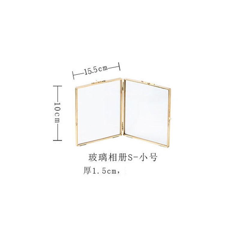 Folded Double-Sided Glass Metal Photo Frame, Botanical Specimen Holder, Electroplated Gold-Covered Display Stand: S