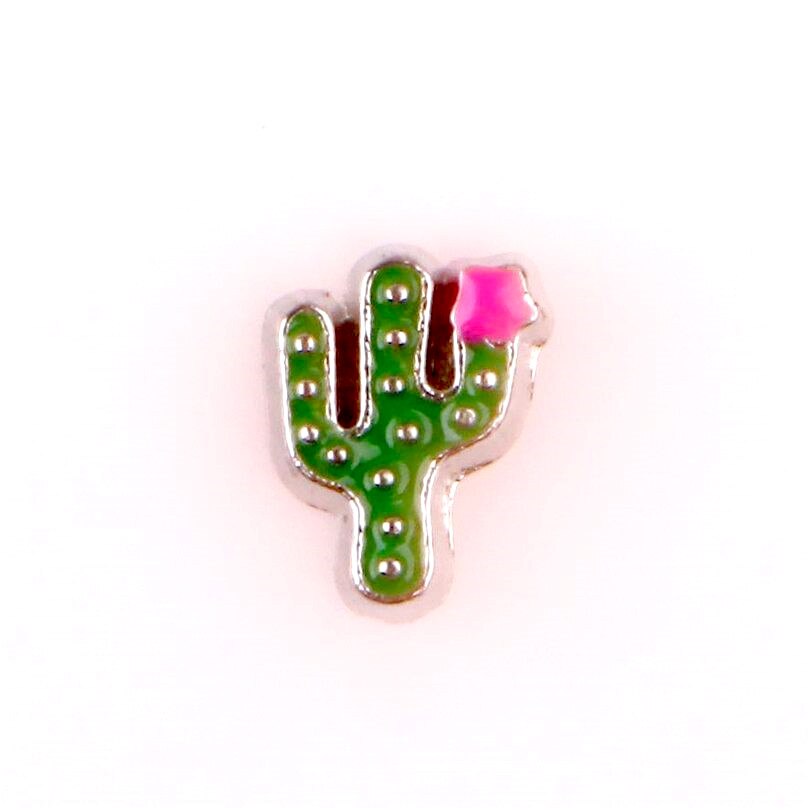 20Pcs/Lot Mix Styles Flowers Charms Making Cactus Rose Plant Floating Charms Memory Glass Locket Jewelry Diy: F541