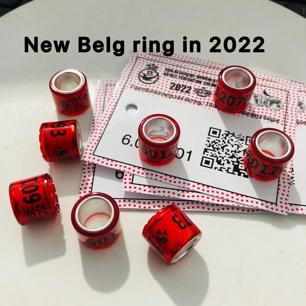 10Pcs 2022 Belg Duivenringen Met Letters Kaarten Vogel 8Mm: 2022 Red