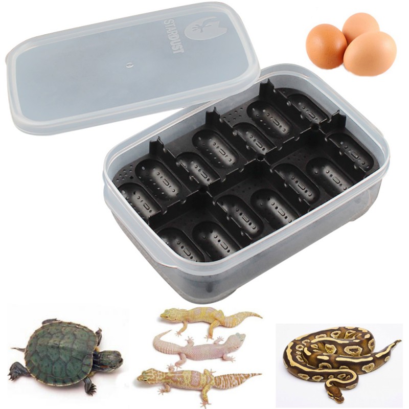Incubadora de huevos para reptiles 14 ranuras de bandeja cubierta transparente para serpiente, lagarto Gecko huevos Hatcher caja de incubación