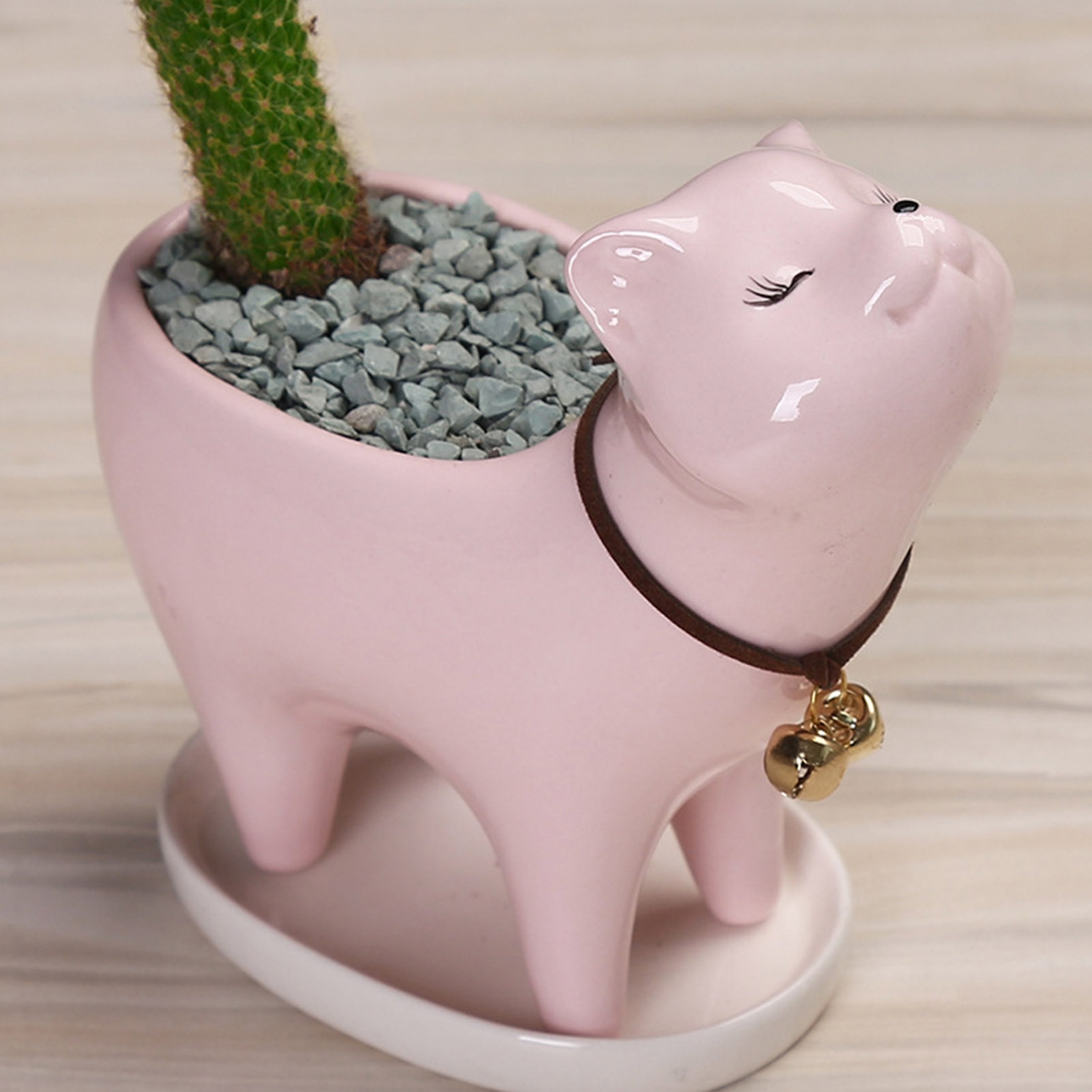 Pots de fleurs de jardin en céramique, chat mignon, plantes succulentes, conteneur de bureau, ornements d'animaux de dessin animé