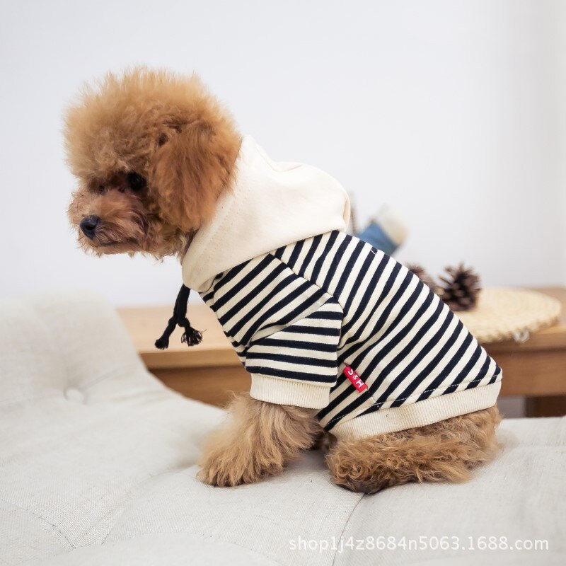Huisdier Kleding Mode Hoodies Voor Kleinere Honden Kat Kleding Eigenaar En Huisdier Bijpassende Pak Chihuahua Teddy Schauzer Pugs