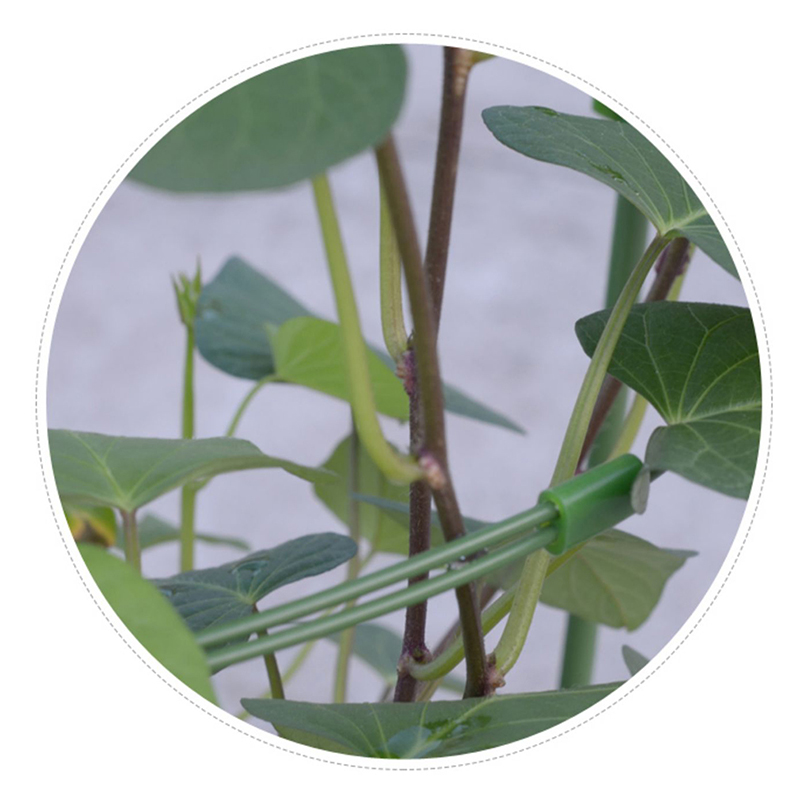 Support de vigne grimpante de 45cm, cadre de Support en pot pour plantes, en acier revêtu de plastique, pour fleurs et légumes, Support en treillis décoratif, 1 pièce