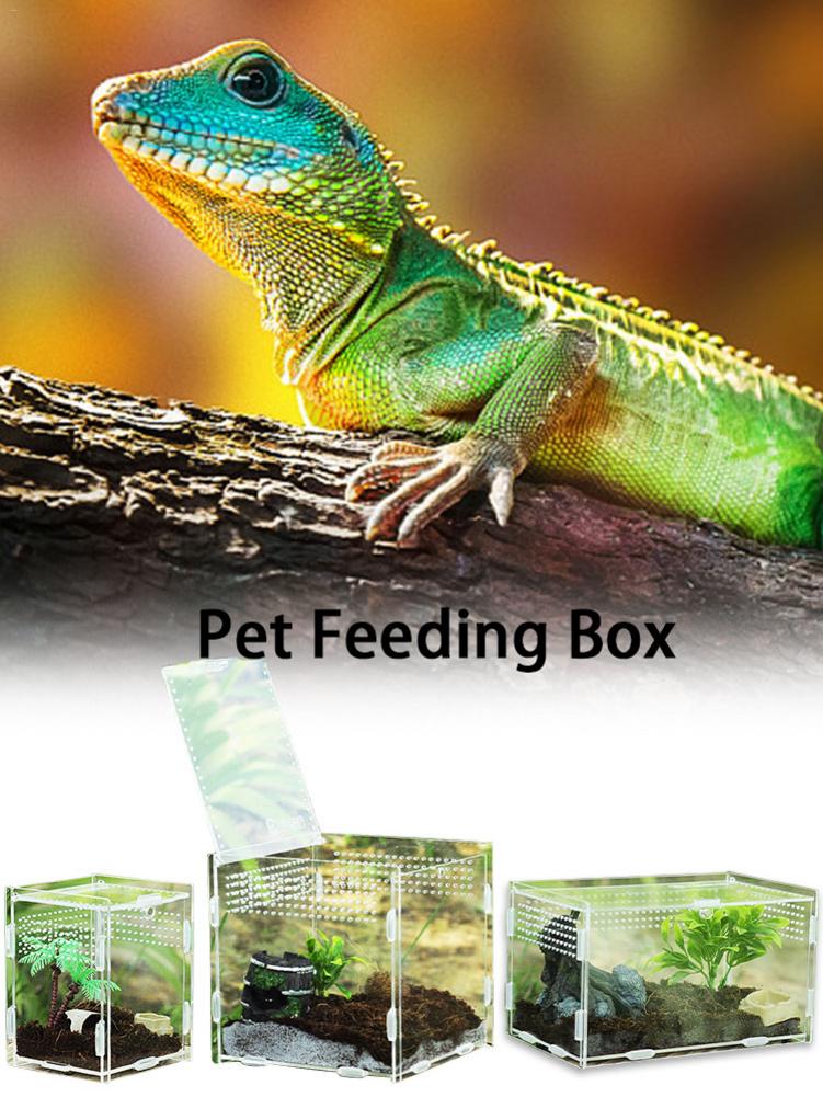 Mehrere Lüftungsschlitze Reptil Zucht Kasten Acryl transparent Reptil Panzer Insekten Spinnen Skorpione Gottesanbeterin Fütterung Kasten Terrarium Panzer