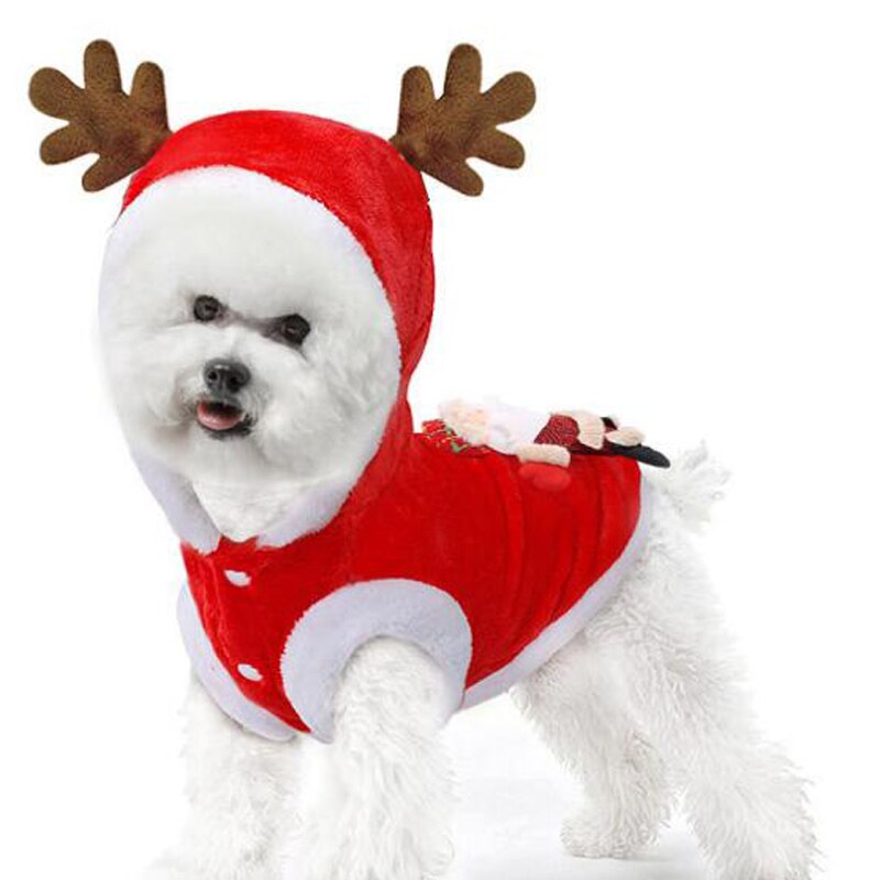 Manteau de noël chien noël chiot | Noël, rennes à capuche, Costume de chiens roupa cachorro pour Bichon chat XS S M L XL XXL