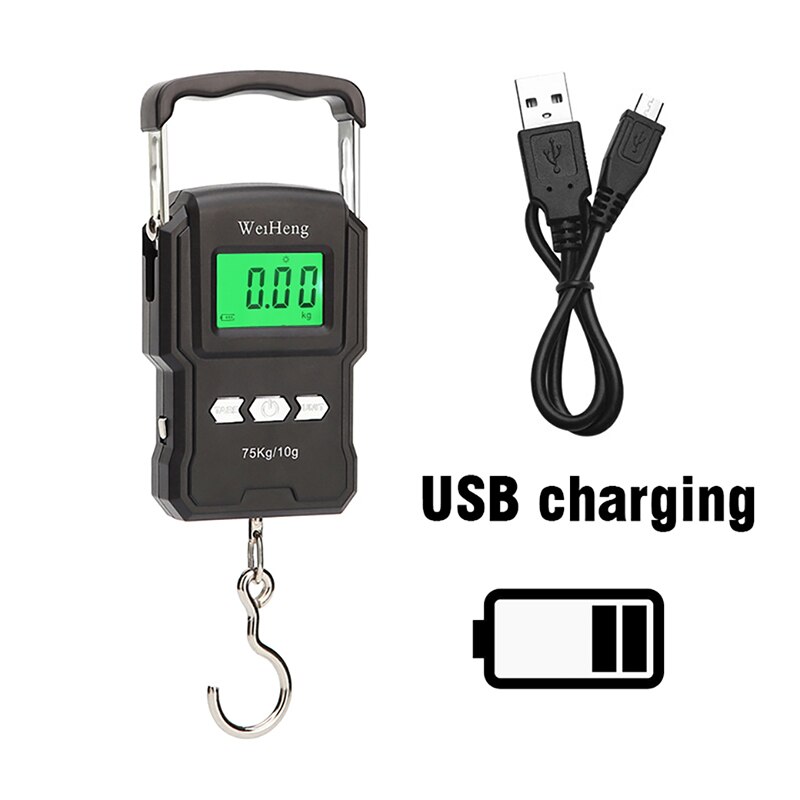 75Kg/10G Portable Hanging Scale Digital Display Charging/Battery Models Fishing Luggage Travel Weighing Electronic Hook Scale: A27L Rechargeable