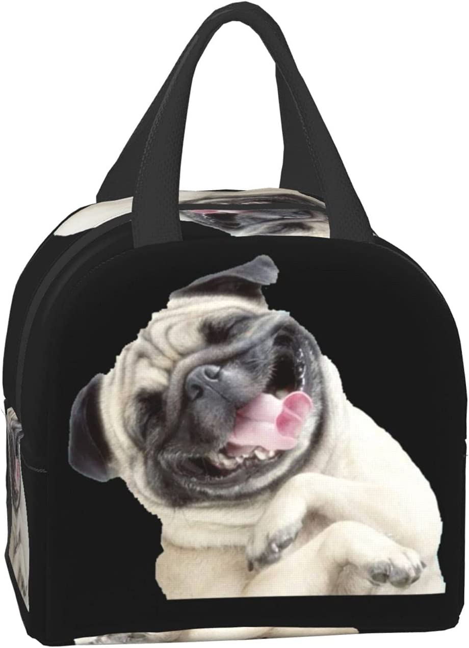 Lunch Bag Cute Pug Dog Lunch Box Insulated Bag Tote Bag For Men/Women Work Travel: Clear