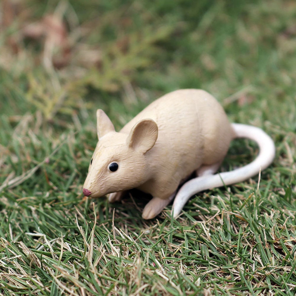 Realistische Muis Rat Opossum Animal Model Cijfers Desk Decor Onderwijs Kinderen Speelgoed