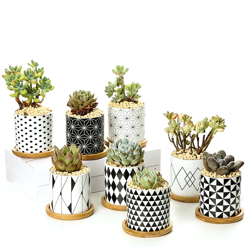 Modern Geometric Pattern Ceramics Flower Pot for Succulent Plant Nordic Style Planter Pot Home Garden Office Decoration