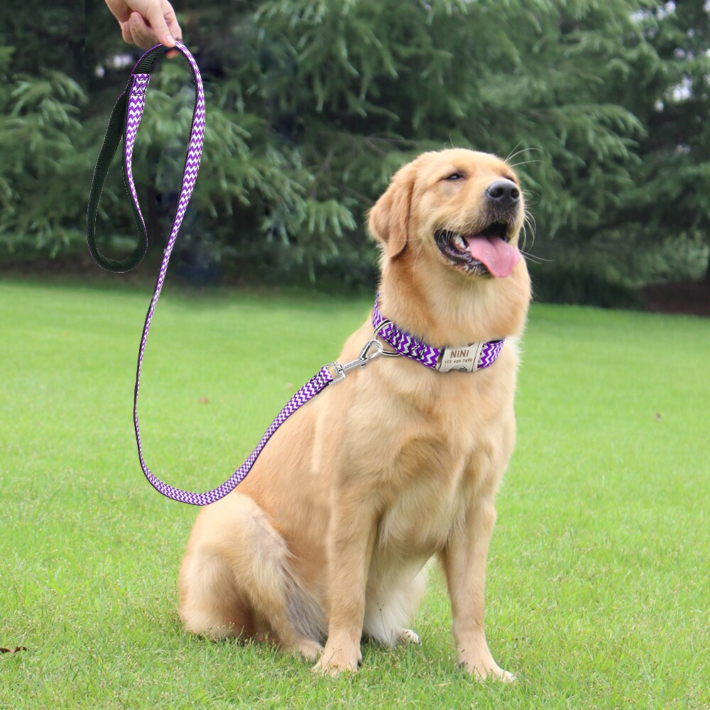 120cm hunde gående løbesnor nylonpolstret hundesnor til små mellemstore hundesnore
