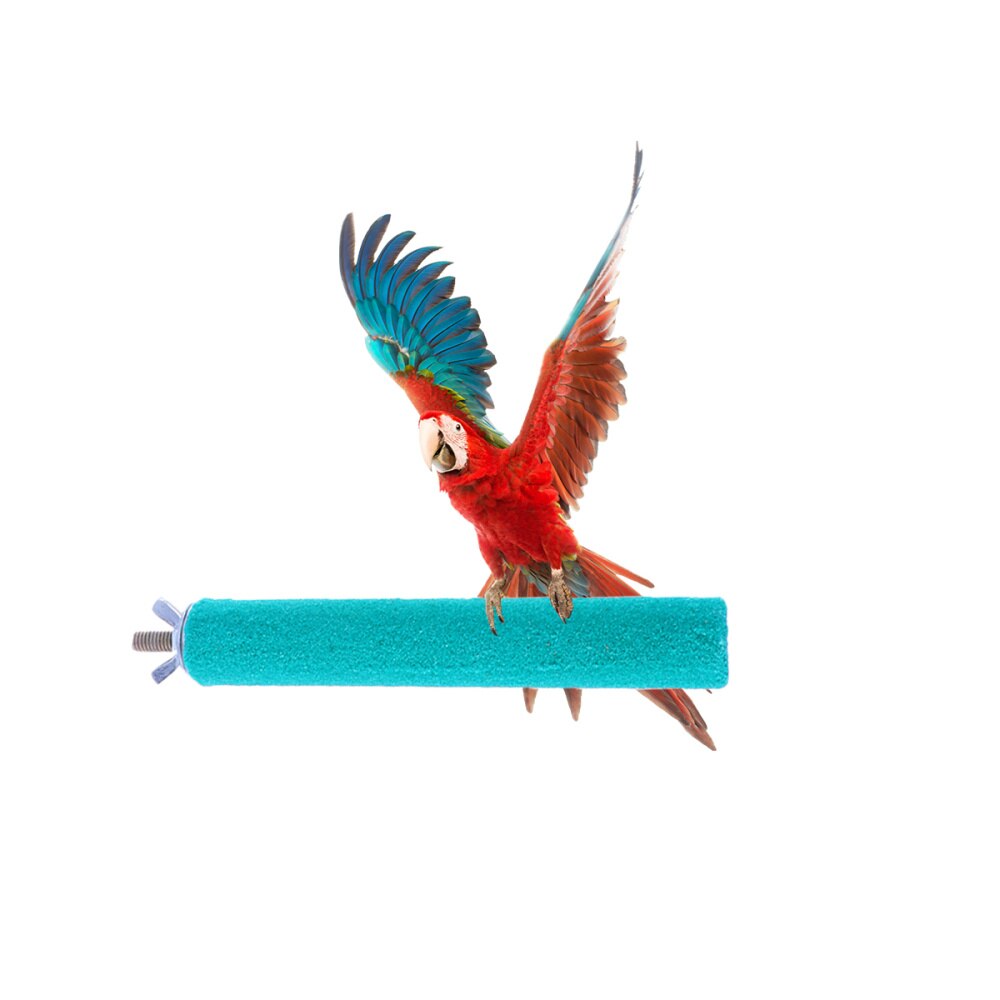 1set Bird Perch Stand and Springboard Claw Grind Bar Playing Standing Cage Accessories for Small Birds Parakeet (Claw Grind