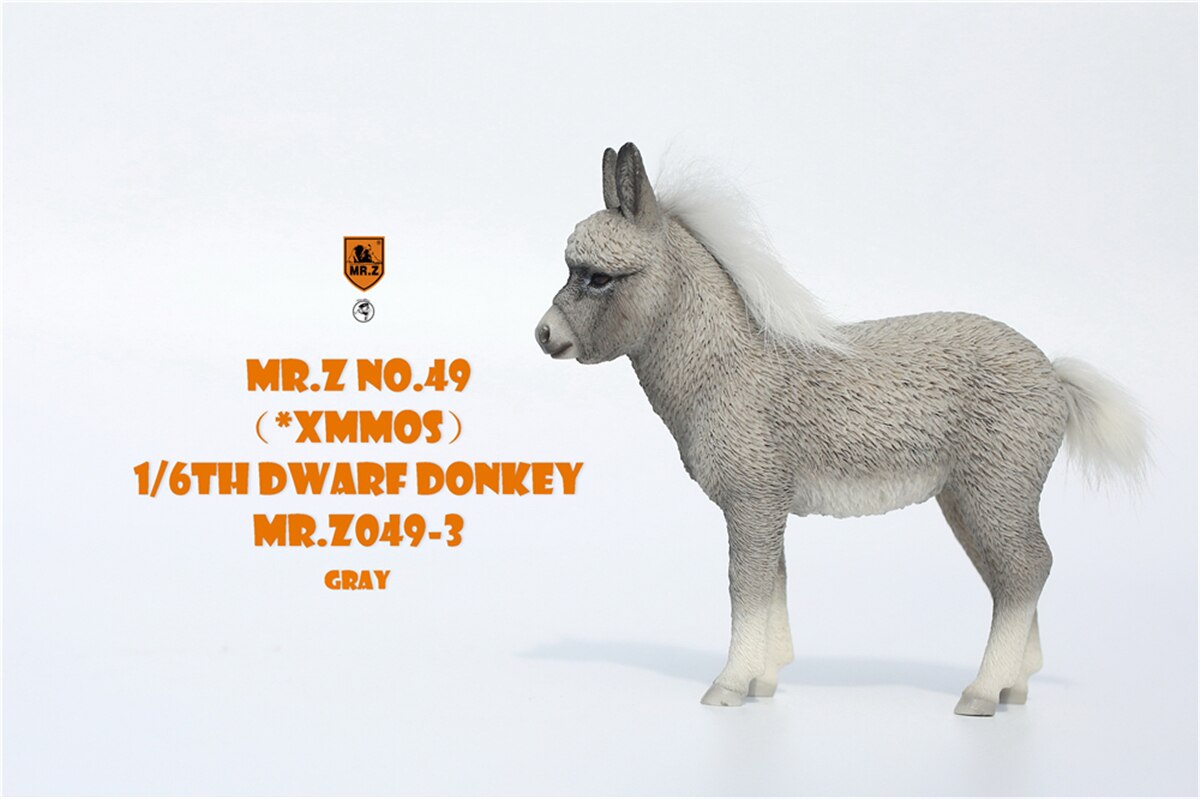 Mr.Z Studio 1:6 Dwarf Donkey Pet Figure Equidae Animal Healing Figure Animal Model Toy Collector Desktop Decoration Adult: Mr.Z049-3