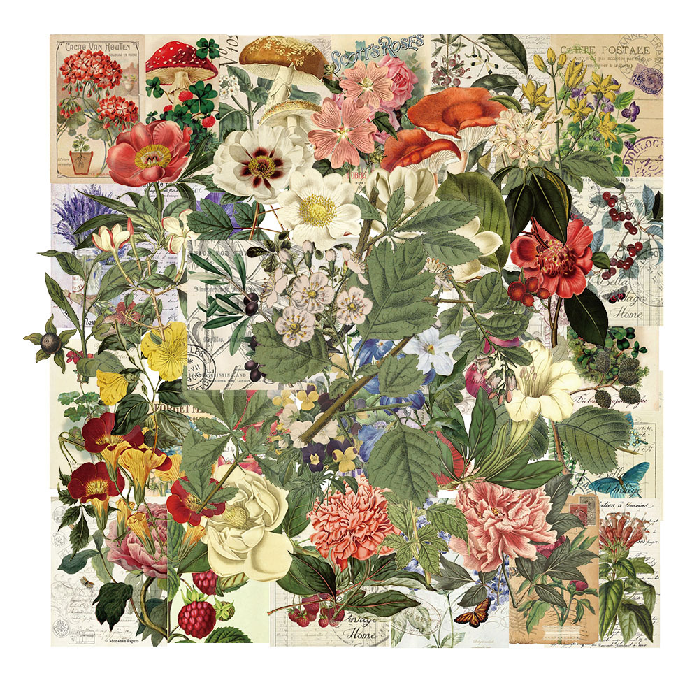 50 przezroczyste naklejki z motywem roślin w stylu vintage, wodoodporne, do dekoracji zwierząt, naklejek na notatniki i gitary: Default Title