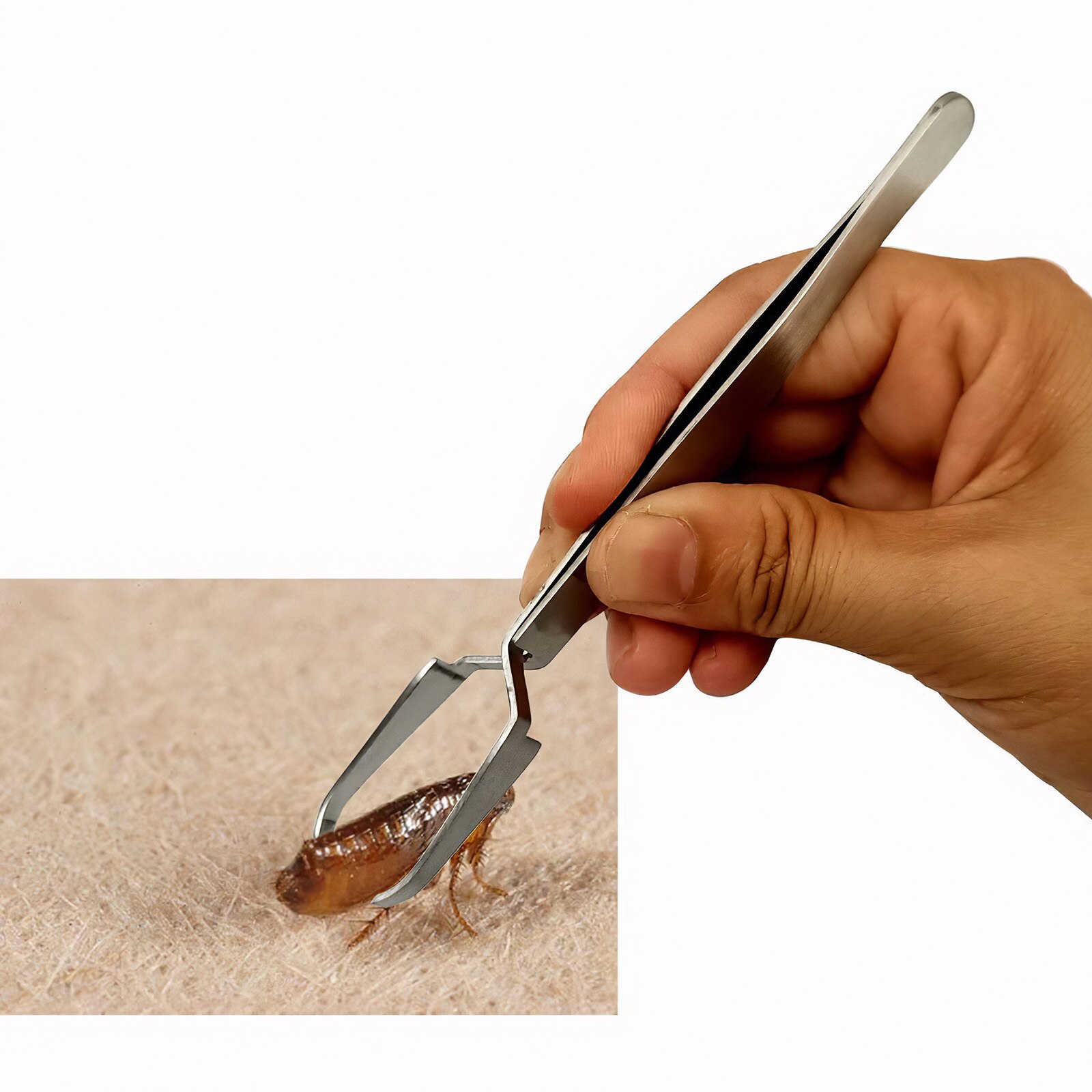 Pet Ion Extractor Plastic Cover Tick Removal Tool Kit With Storage Plastic Box For Cats And Dogs