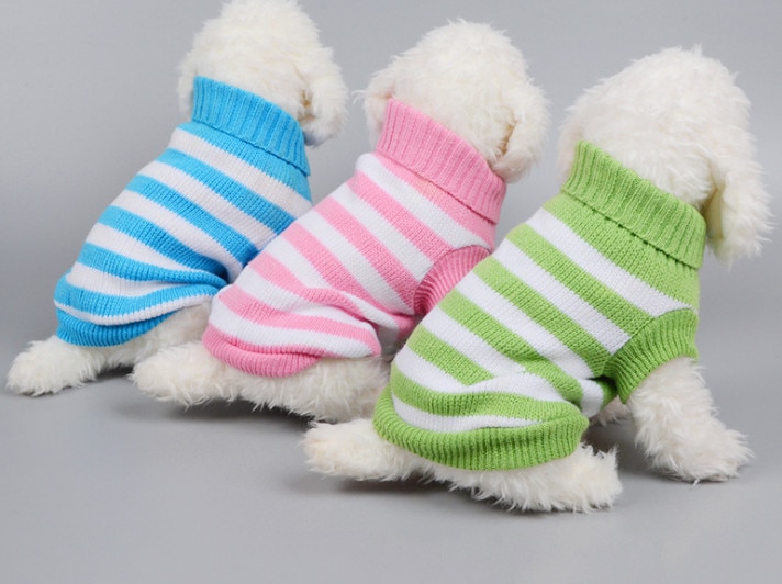 Pull tricot chaton chiot | Chien chat, tricot classique col roulé, tricot animal de compagnie, automne hiver manteau vêtements 3 couleurs
