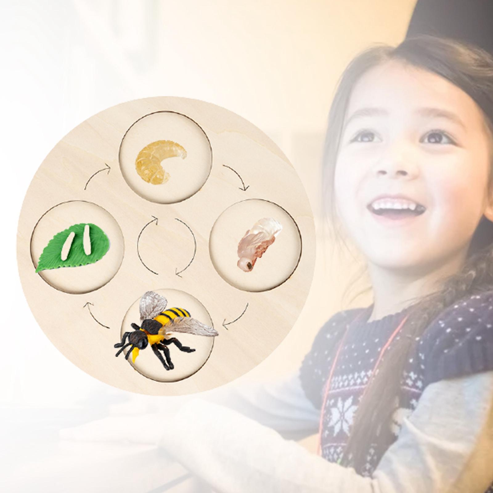 Montessori Life Growth Cycle Board Puzzle do zabawy dla dzieci zwierzęta wczesna edukacja prezenty zabawka na prezenty przedszkole 3 4 5 6 lat dzieci: Bee