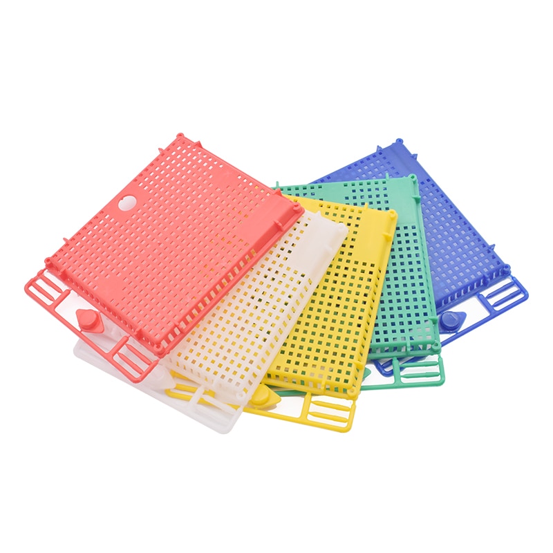 1PCS Queen Isolation And Introduction Cage Plastic Round flat queen introducing cage