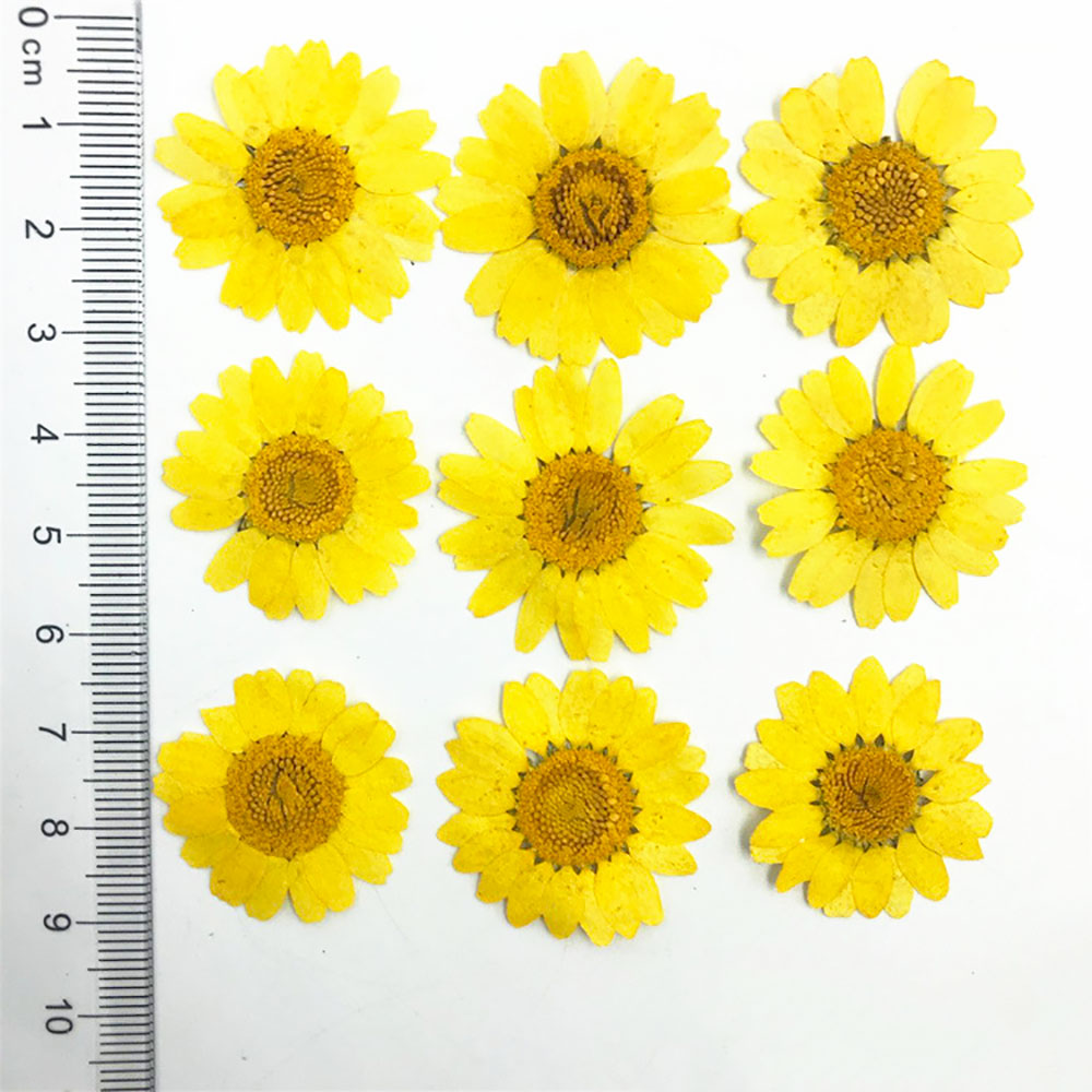 Silicone world Dried Flower Dry Plants For Epoxy Resin Pendant Necklace Jewelry Making Craft DIY Accessories UV Expoxy Flower: army green