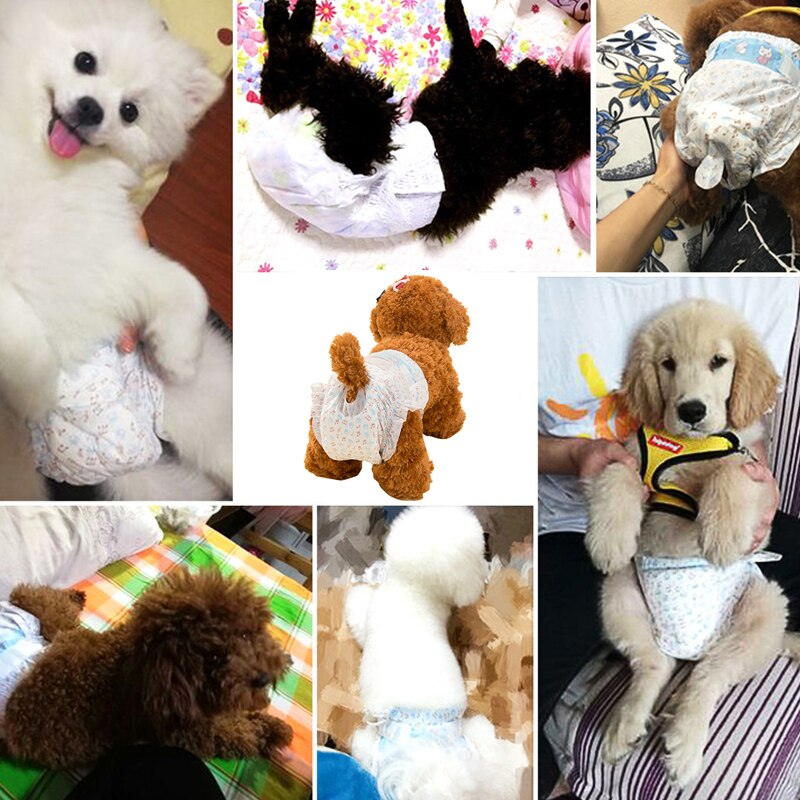 Super Absorptie Fysiologische Broek Hond Luiers Voor Honden Huisdier Vrouwelijke Hond Wegwerp Lekvrij Luiers Puppy Huisdieren Benodigdheden